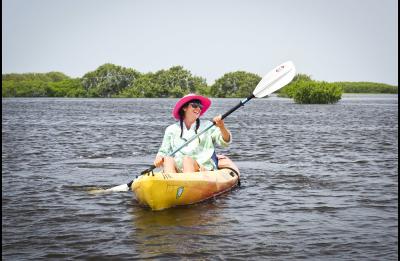 Kayak to the Gulf of Mexico from Werner-Boyce Salt Springs State Park