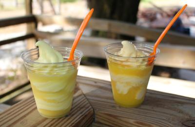 Joshua Citrus Ice Cream Floats with Orange Juice