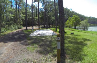 Pine Log State Forest Sand Pond Campsite