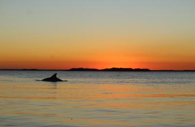 Captivating Sunset