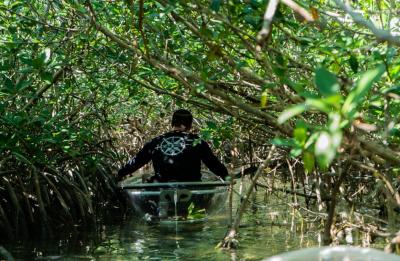Floating through our beautiful mangrove tunnel