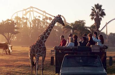 Serengeti