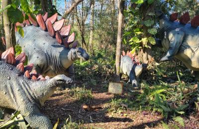 Stegosaurus