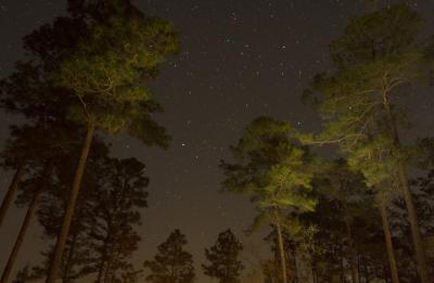 Blackwater River State Forest Camping