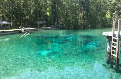 Blue Springs Bronson, FL