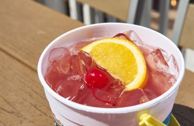 Crab Trap Bucket