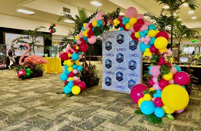 Deluxe Balloon Arch in Tampa Bay for your step and repeats!