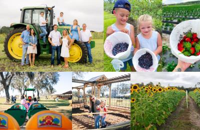Fun on the farm: Crop U-pick, kids activities, and more!