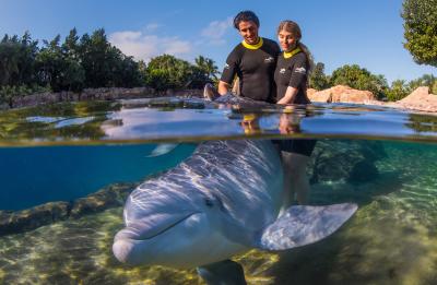 Discovery Cove Orlando