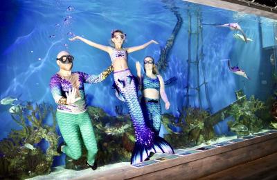 Discover Mermaid Experience! Learn To Be a Mermaid!