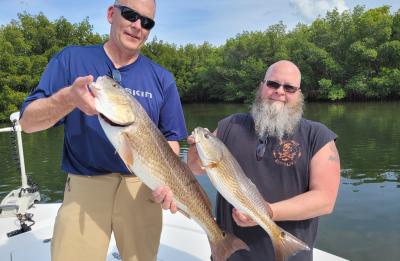 Tampa bay redfish