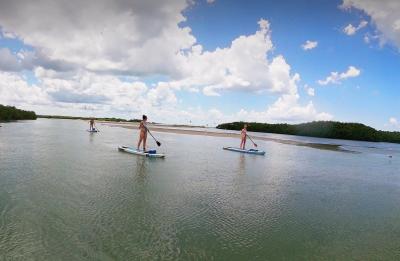 Paddle Boarding Dog Beach and Lovers Key