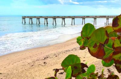 Tracking Station Beach