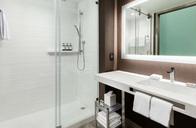 Guest Room Shower