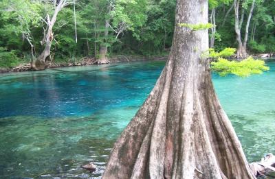 Cool off in our beautiful natural springs