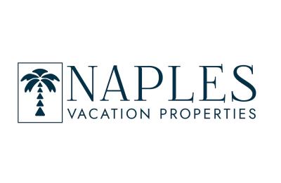 NVP Logo 3 by 2