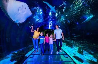 SEA LIFE Orlando 360 Ocean Tunnel