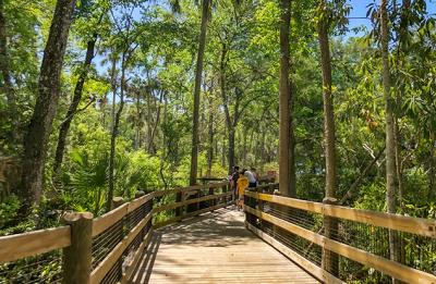 Beautiful trail with trees and so much to see.