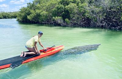 Paddle Boarding and Kayaking with Manatees