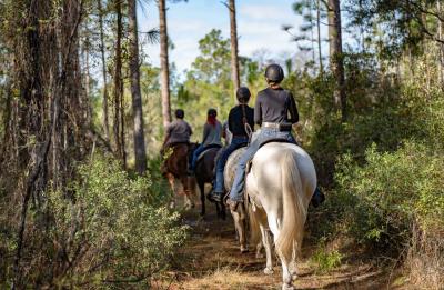 Family friendly horseback trail riding
