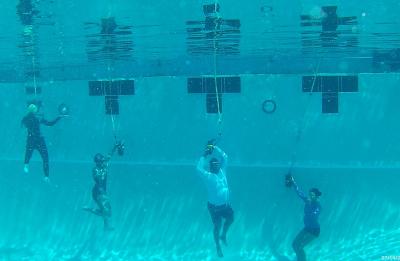 Good swimmers are comfortable in every part of the pool
