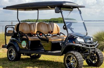 Premium Anna Maria Island golf cart rental
