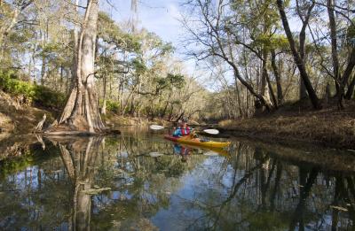 A female kayaking down the Aucilla river.
