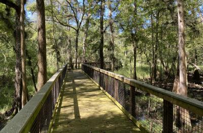 Boardwalk trail on Andrews Wildlife Management Area