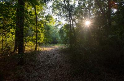 A view of a hiking trail on Ft. White Wildlife and Environmental Area.