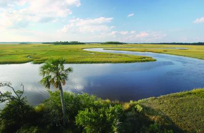 A Bird's-Eye View of Guana River Wildlife Management Area.