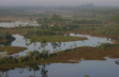 Aerial View of the Hungryland Wildlife and Environmental Area