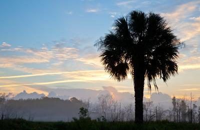 A view of the sunset at Tosohatchee Wildlife Management Area.