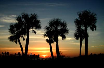 Beach Image