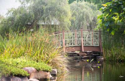Asian Gardens