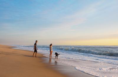 Exclusive Winter Snowbird Travel Offer!
