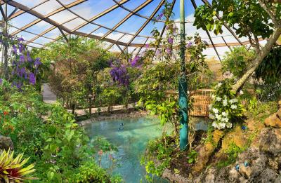 Explore beautiful Butterfly World!