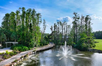 Saddlebrook Resort in Wesley Chapel, Florida