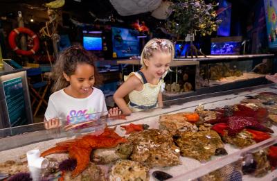 Touch Tank Interaction