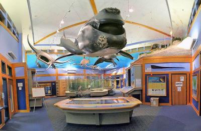 GTMNERR Visitor Center