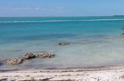 A topside view of Lignumvitae Key Aquatic Preserve waters.