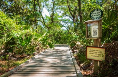 Apalachicola National Estuarine Research Reserve Nature Walk Path