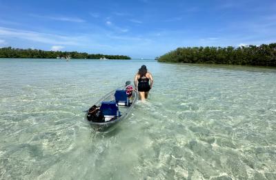 Paddle through Siesta Key's crystal-clear water in a 100% clear kayak - adventure meets paradise!