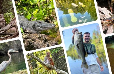 The Real Florida Experience