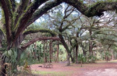 River Road Campground