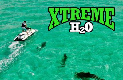 Guests spotting dolphins during a jet ski tour on the Emerald Coast