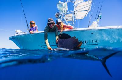 Sailfish on the 2700 Pathfinder Open