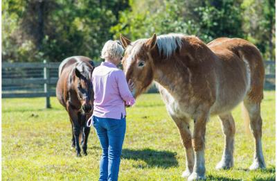 A First Nature Founation program participant has a soulful moment with one of our program horses.