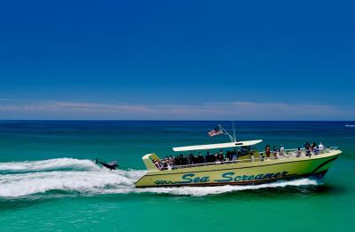 Dolphins surfing the Sea Screamer wake!