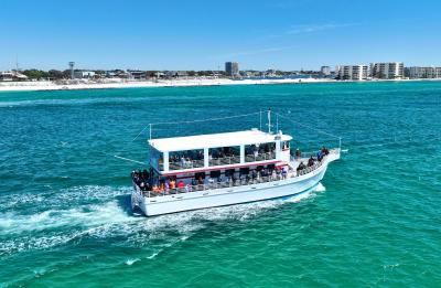 Cruise along the Emerald Coast as we search for dolphins aboard the Southern Star!