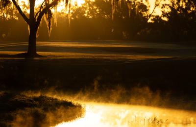 Tranquility in the morning at Saddlebrook
